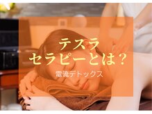 テスラテラピーストア(TESLA THERAPY STORE)/テスラセラピーとは、 ？