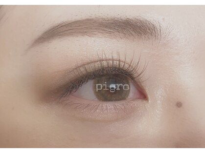 ピグロ(pigro)の写真