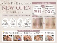 フレイヤ 門前仲町店(FREYA)