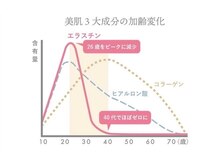 リ シェリール(Re cherir)/たるみには季令