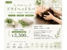 【頭や首のコリが辛い方】オプション/ドライヘッドスパ 他メニューに追加で可