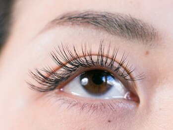 グランデ アム(Grande ame)/ボリュームラッシュ120束/橋本