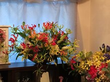 サラ ビューティ マジック(Sara Beauty Magic)/花６