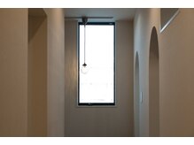 シェリ ザ ビューティー(Cheri the beauty)/