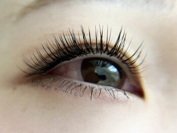 プルームミコ(Plume mico)/シングルラッシュ120本