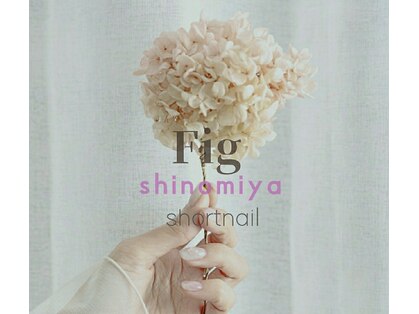 フィグ(Fig)の写真