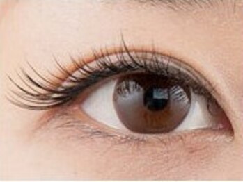 ミューズ 東金店(MUSE)/セクシー（選べるデザイン♪）