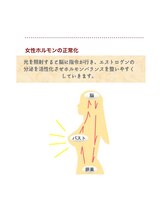 バストサロン メルベイユ(Merveile)/仕組み 5