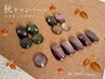 秋キャンペーン! デザインネイル　￥6580