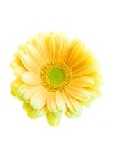 アイラッシュウル 金沢八景(eyelash uLu) shoko