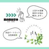 せるふよもぎ蒸しさろんTEA 郡山駅前整体のお店ロゴ