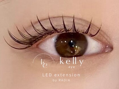 ケリー(kelly)の写真