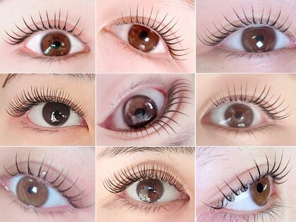 アルト(Halte)の写真