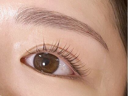 コルテアイ(CoRte.eye)の写真
