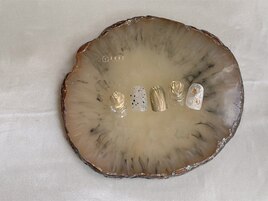 【パラジェル】11月monthly