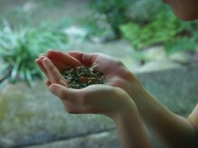 アウン 高島本店(aUN)/