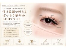 サロン ド ブランシェ(Salon de Branchee)/LEDフラットラッシュつけ放題★