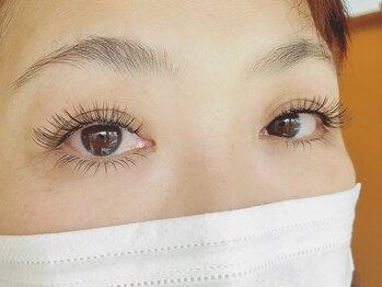 アイラッシュコロール(eyelash Koror)/上下フラットマットラッシュ☆
