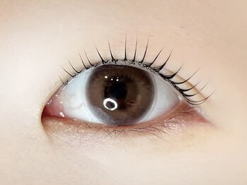 リノ カヒリ アイラッシュ(Lino kahili)/ラッシュリフト