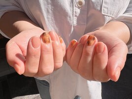 ～オフィスべっ甲～