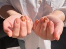～オフィスべっ甲～