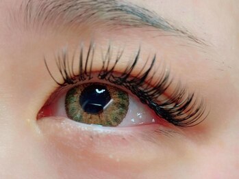 ウルカ アイラッシュ(uruka EYELASH)/フラットラッシュ 160本