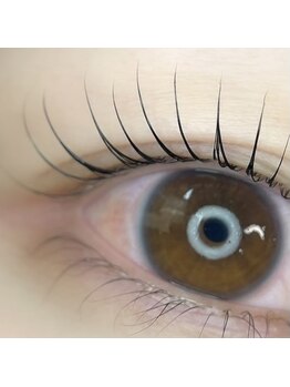 ケイラッシュ(K-LASH)/