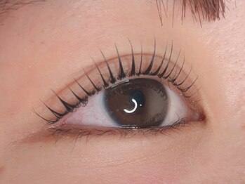 ラシク ベル(Lashiku Belle)/パリジェンヌラッシュリフト