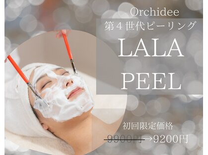 オルキデの写真