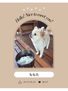 ネイル キッチン モモ(nail kitchen momo)/長男【ももたくん】