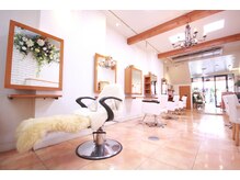 エヴァ フェイス/店内