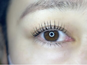 ケイラッシュ(K-LASH)/