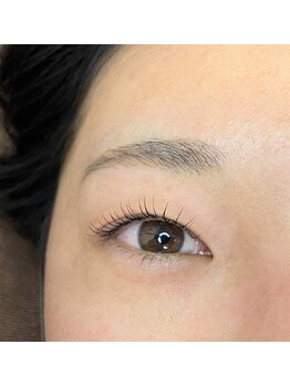 スウィートマジョラム(Sweet Marjoram)/ラッシュリフト　