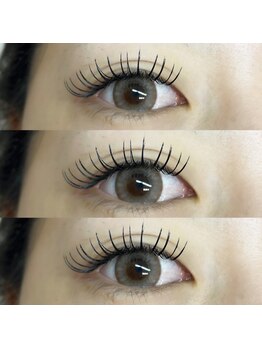 アイラッシュ ベイビーステップ(Eyelash Baby step)/フラットラッシュ180本