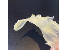 ケー(K)の雰囲気（【新メニュー】艶肌wax認定サロン産毛、繰り返す肌悩みに！）