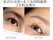 カランコエ(Kalanchoe)