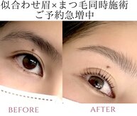 カランコエ(Kalanchoe)