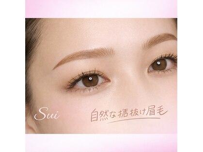 スイ(Sui)の写真
