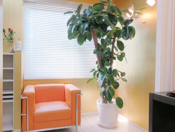 アクア鍼灸院/カウンセリング用紙にご記入を♪