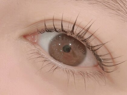 ソイ(soi.)の写真