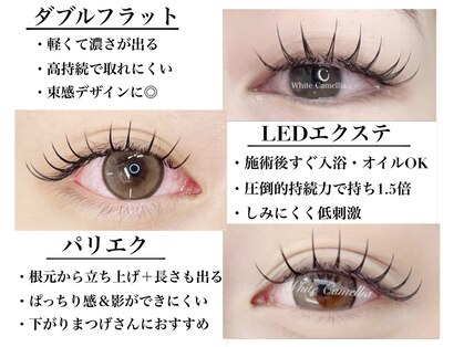 ホワイトカメリア 難波心斎橋店(WhiteCamellia)の写真