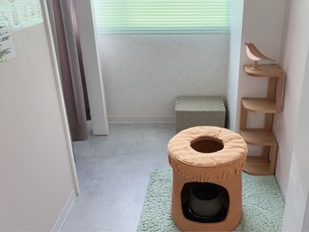 ルックアットミー(Look at Me)の写真/【自律神経サポート温活♪】黄土よもぎ蒸しで冷え・むくみ・だるさに本気の温活◎