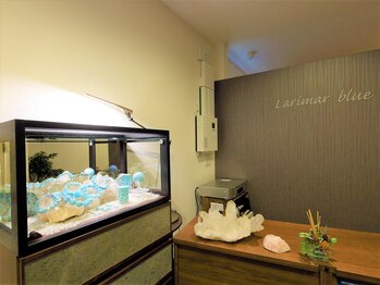 ラリマーブルー(Larimar blue)/受付