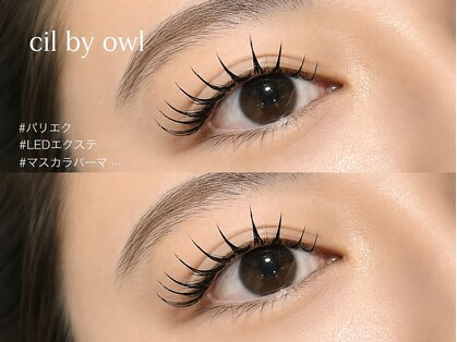 シル バイ オウル(cil by owl)の写真