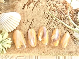 定額10月限定 trend nuance