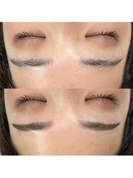 リリー(Lily)/☆インプットブロウ☆