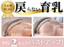 ラポッシュ(La poche)