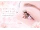 メルシー(Merci)の写真