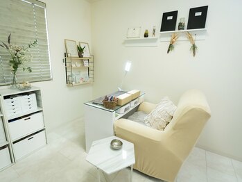 カランコエ(Kalanchoe)/内観