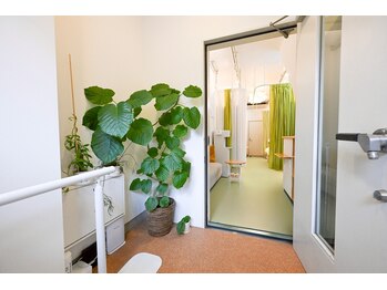 かつらはりきゅう 小児しん/１階で入りやすいお店です